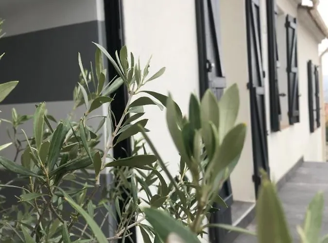 Maison De Pecheur 1900 Saint-Mandrier-sur-Mer