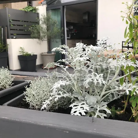 Maison De Pecheur 1900 *